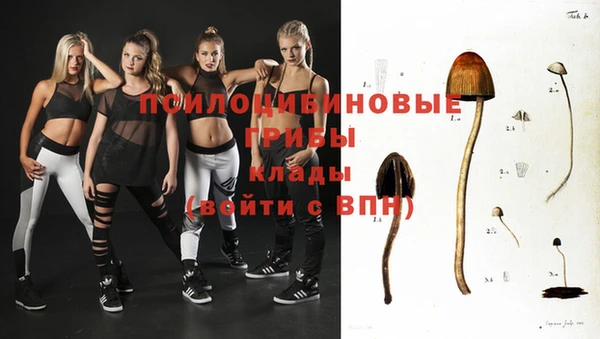 Альфа ПВП Галич
