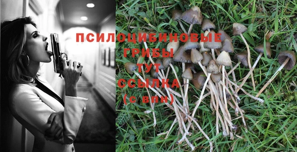 гашишное масло Гвардейск