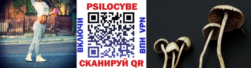 Галлюциногенные грибы мицелий купить наркотики цена blacksprut зеркало Гаврилов-Ям